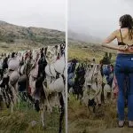 STRANGE- Women tying their ‘BRA’, thousands of undergarments are hanging here