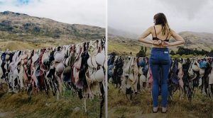 STRANGE- Women tying their ‘BRA’, thousands of undergarments are hanging here