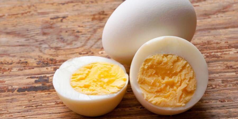 Egg Eating Danger,
