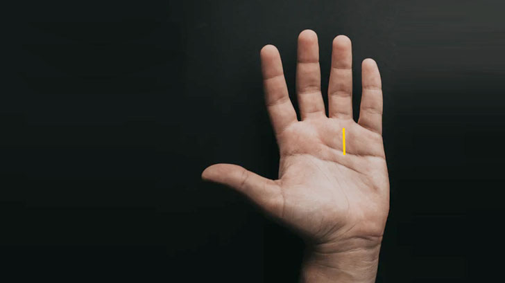 Do you have this line in your palm too? So be Alert!