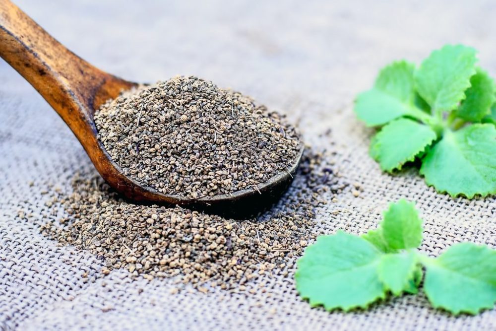 Cold Remedies: Are you also troubled by cold, then you can treat yourself with these 5 things 6 Cold Remedies: Are you also troubled by cold, then you can treat yourself with these 5 things - The Monk