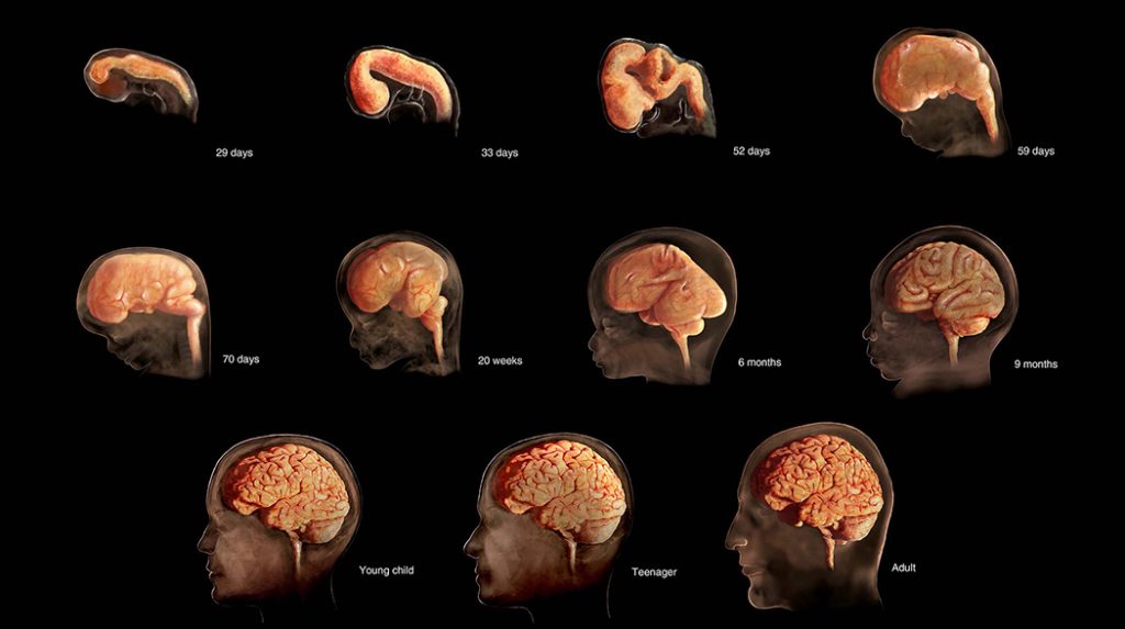 abnormal mental development