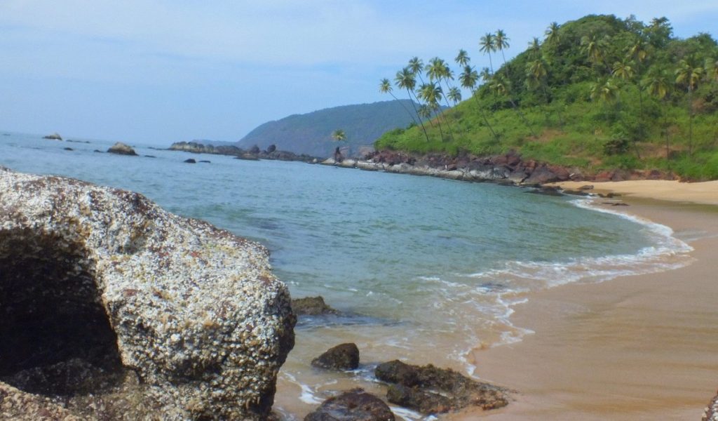 agonda beach goa