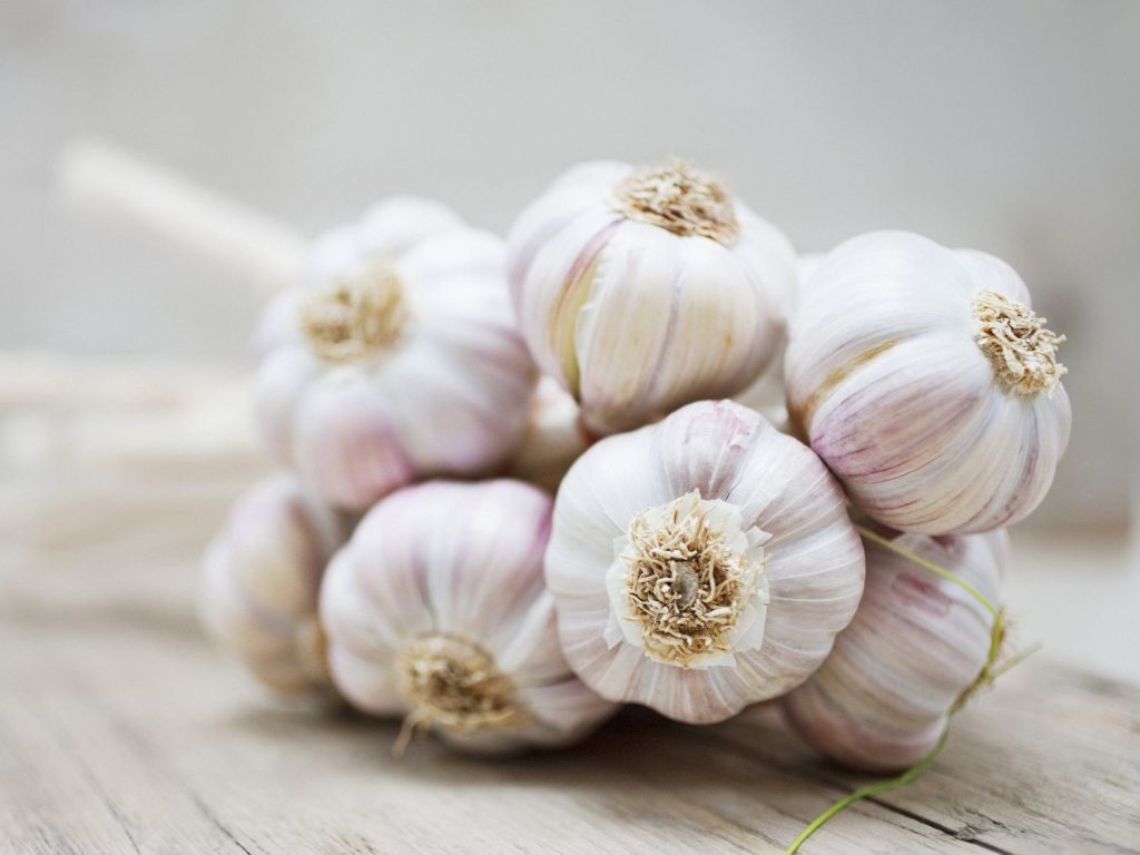 garlic