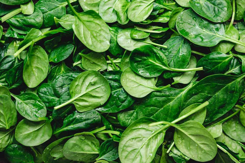 Amazing foods that can help ease anxiety 7 foods to help ease anxiety
