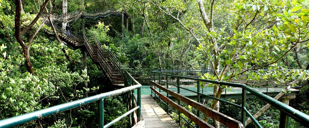 10 Hidden places to visit in Kerala 3 thenmala