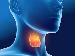 Thyroid: Identify the symptoms of thyroid before the pain increases. 2 thyroid