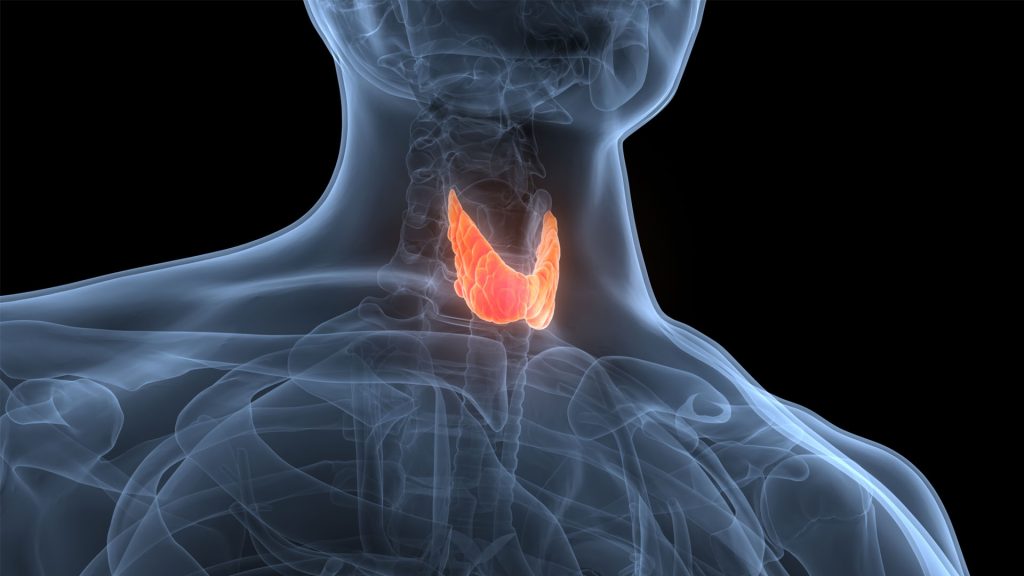 Herbal Tea: Drinking this herbal tea will reduce the risk of Thyroid, and stress will also go away. 6 thyroid