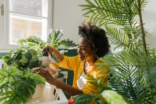 How plants help you to change the state of mind 3 Positive impact of plants