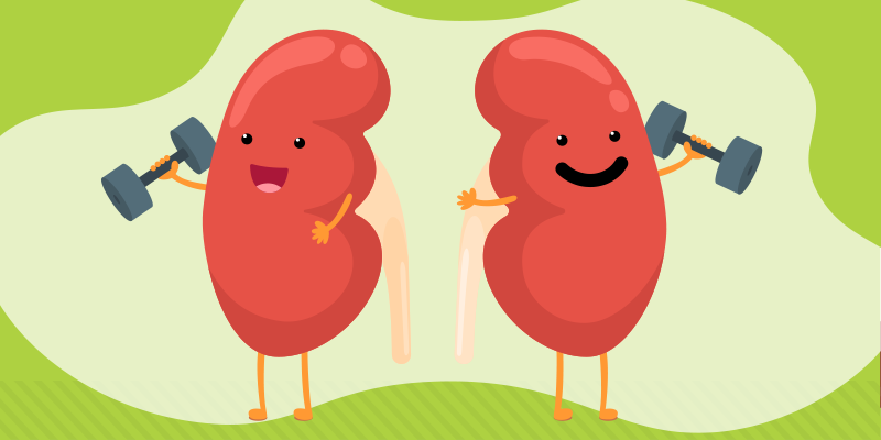 Important lifestyle changes to boost kidney health in summer 4 kidney health