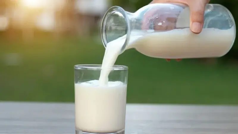 Best Foods for Growing Children: Nourishment and growth 10 Milk