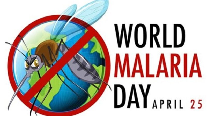 World Malaria Day: History, Significance