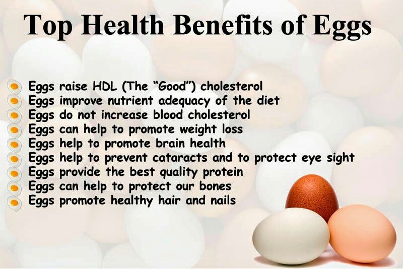 benefits and facts about eggs