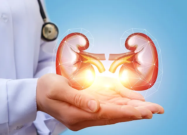  kidney health