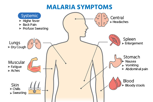 World Malaria Day: History, Significance 7 symptoms of malaria
