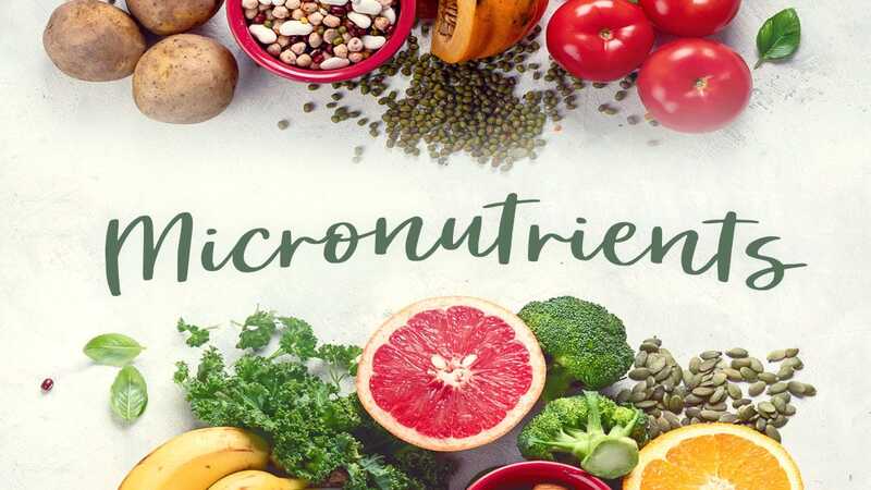 Top essential micronutrients for healthy skin and hair