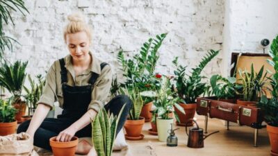How plants help you to change the state of mind