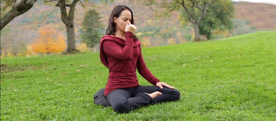 4 Yoga asanas and Pranayam technique to prevent chronic health conditions 6 pranyama