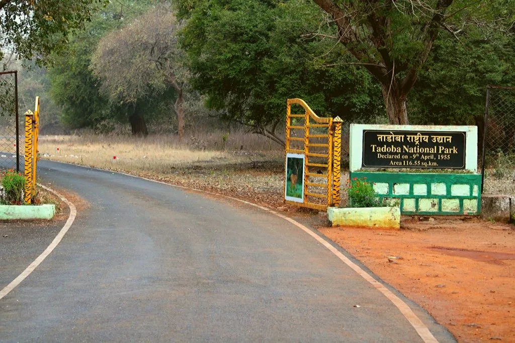 Tadoba Andhari Tiger Reserve