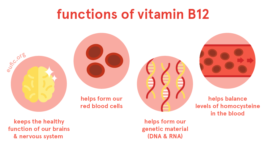 Vitamin B12 functions