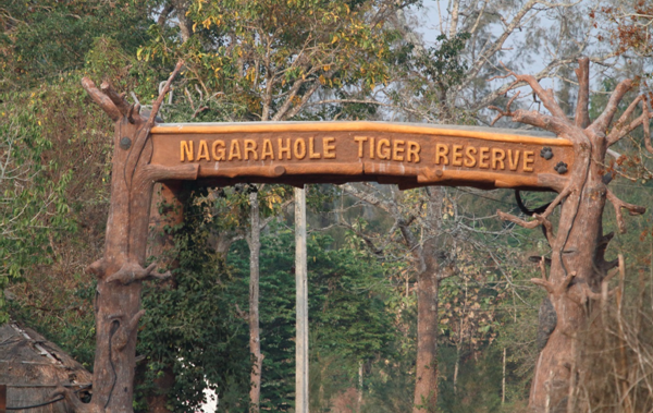 Nagarhole National Park for jungle safaris