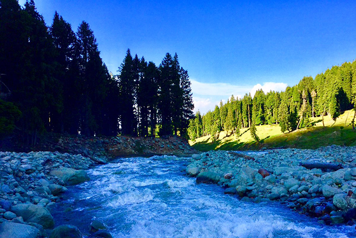 Tourist places in Kashmir: The paradise on Earth 7 Doodhpathri