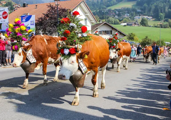 Switzerland tourism one should experience 11 festival of Switzerland