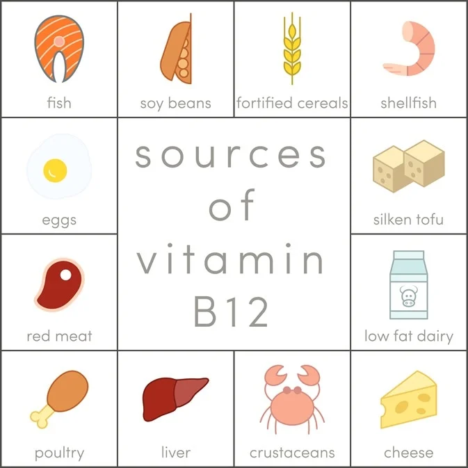 sources of vitamin B12