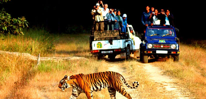 Jim Corbett National Park