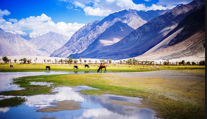 Tourist places in Kashmir: The paradise on Earth 8 Nubra Valley