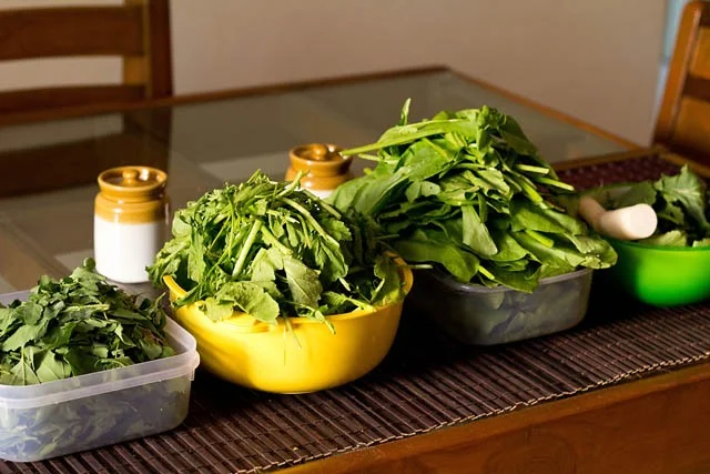 Punjab : Importance of Sarson ka Saag and Makki ki roti 6 saag of punjab