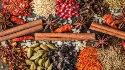 Spices and seasonings: Unlock the Flavors of Indian Cuisine