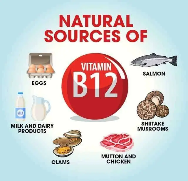 vitamin B12 rich foods