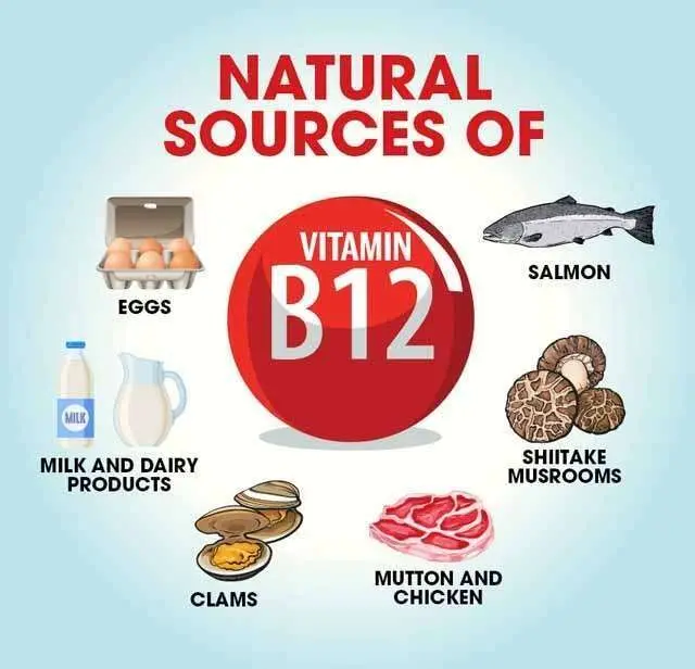 Why is Vitamin B12 benefits for our body? 8 vitamin B12 rich foods