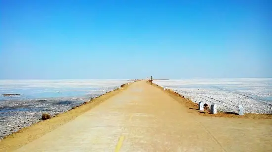 Rann of Kutch Circuit, Gujarat