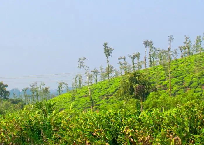 Coorg, Karnataka