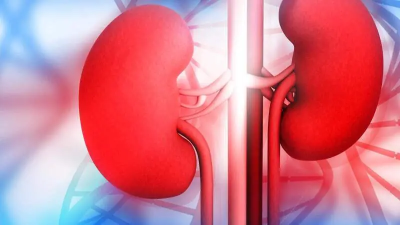 Kidney Disorders: Causes, Symptoms, and Treatment