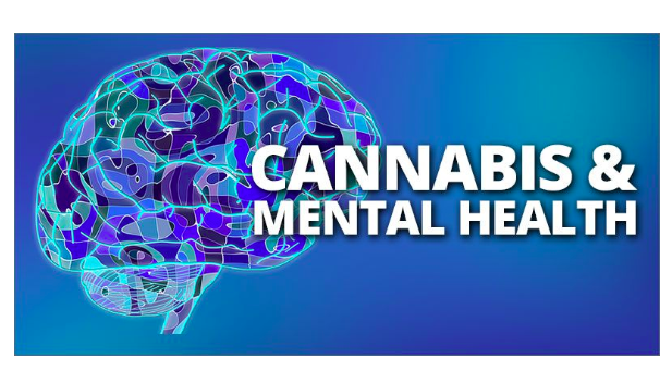Cannabis and drugs: Exploring the Factors Influencing Youth 8 Mental Health Factors