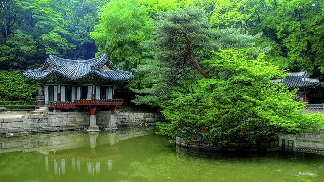 Changdeokgung Palace and Secret Garden 