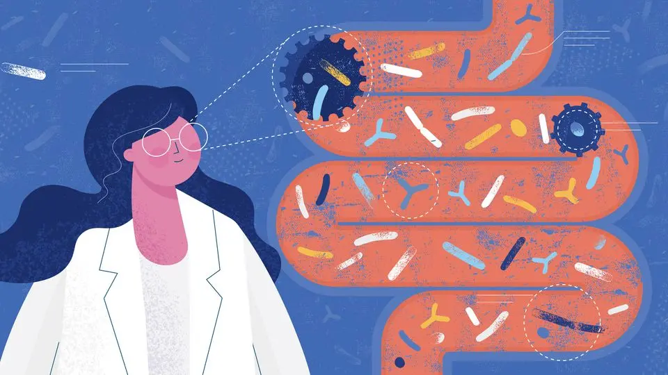 Gut Health: A Comprehensive Guide for Digestive Wellness 5 The Gut Microbiota