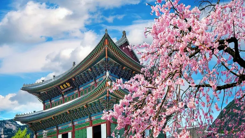 South Korea: Discovering the Enchanting Tourism and Culture