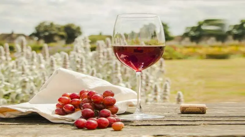 Benefits of Red Wine for Skin Health: An In-Depth Analysis