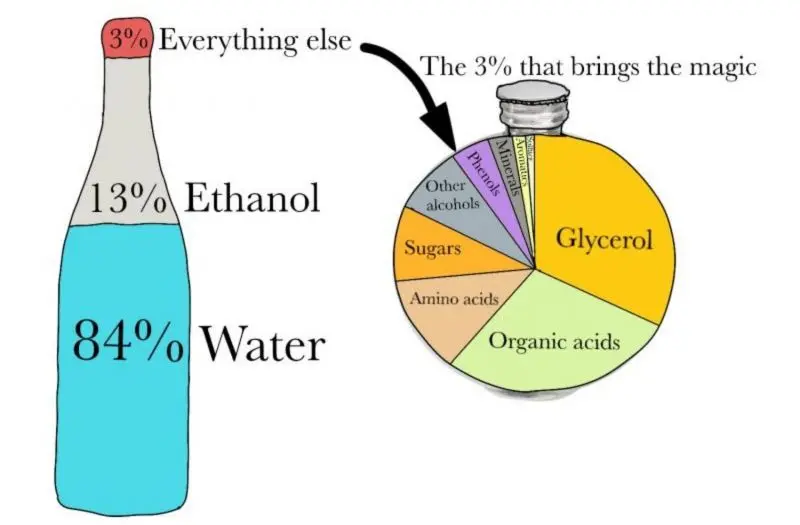 The Composition of Red Wine