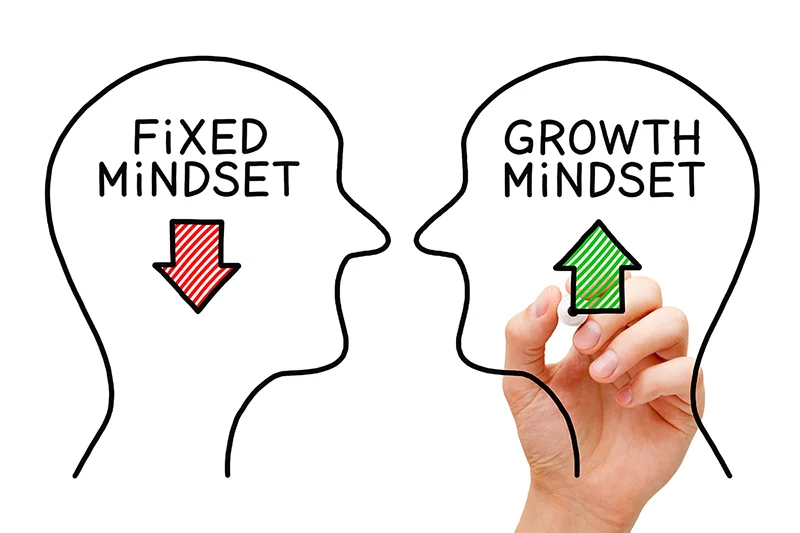 Growth Mindset: Cultivating Strategies 6 Understanding the Growth Mindset