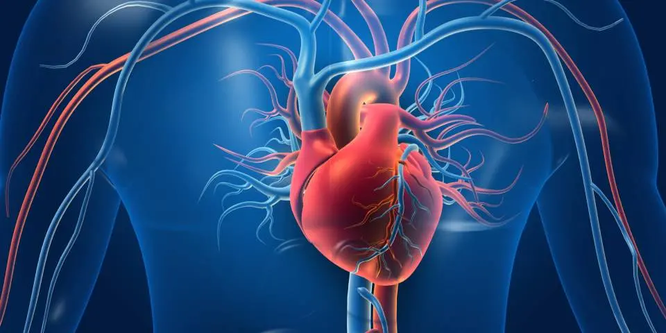 World Heart Day: Promoting Cardiovascular Health and Well-Being 6 The Global Burden of Cardiovascular Diseases