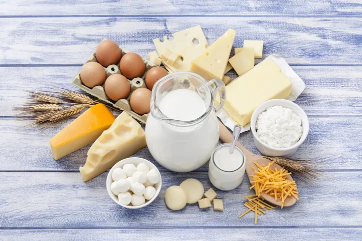 Boosting Metabolism and Promoting Weight Loss 14 Dairy Products