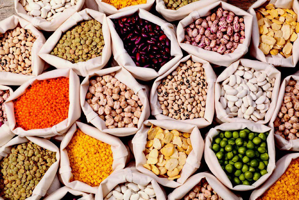 legumes as healthy carbohydrate 
