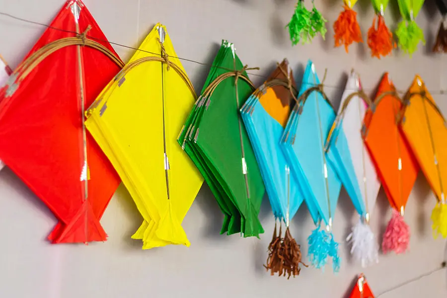 Makar Sankranti kites