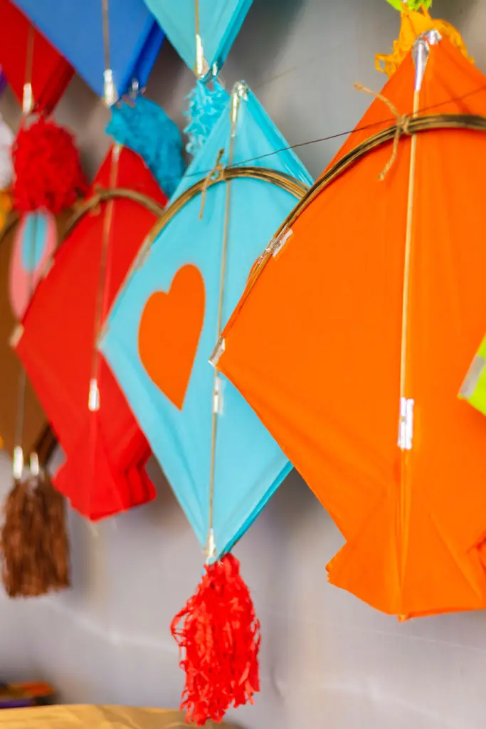 Makar Sankranti kites