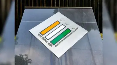 National Voter's Day: Significance, History